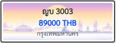 ญบ 3003