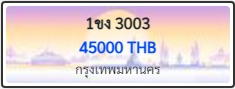 1ขง 3003